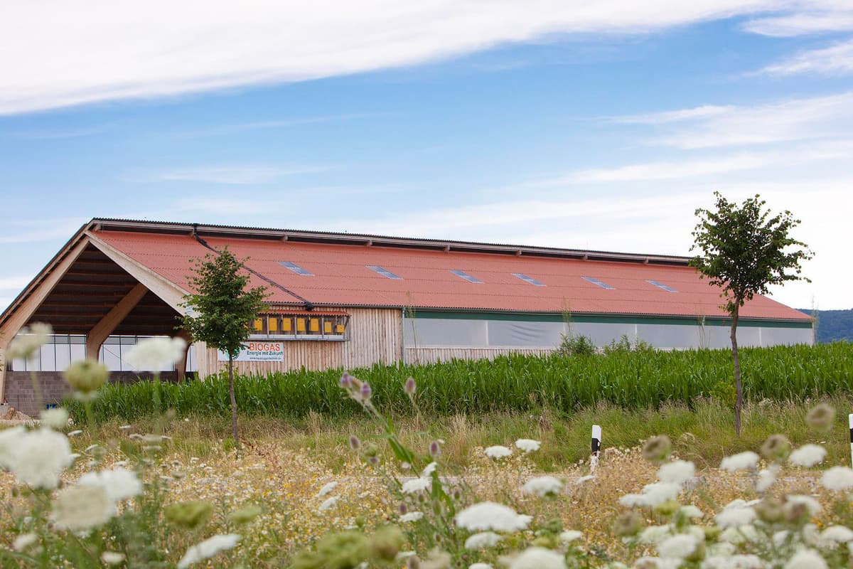 Bestor Grupp referentsobjekt